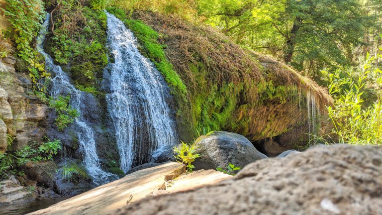 Read more about the article Hanging Gardens AZ Hike